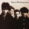 La compilation Songs to Learn and Sings de Echo and the Bunnymen