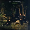 L'album de Echo and the Bunnymen