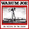 L'album Le Maudit de Warum Joe