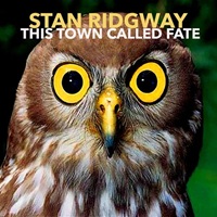 Image 04