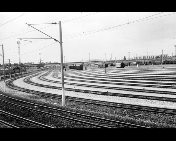 exposition